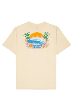 Quiksilver Camiseta de manga corta^Hombre Camisetas