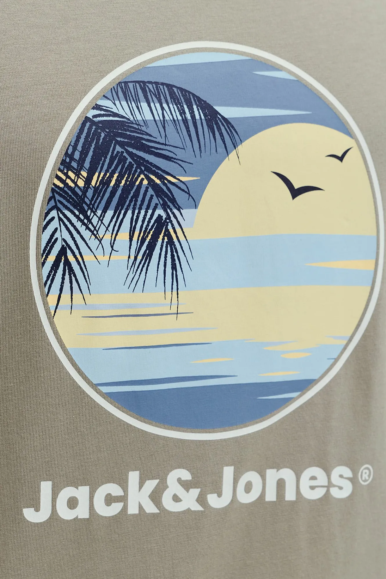 Jack & Jones Camiseta manga corta de algod&oacute;n^Hombre Camisetas