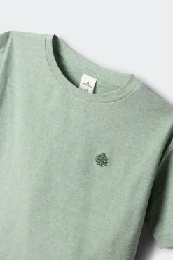 Springfield Kids Camiseta manga corta microraya ni&ntilde;o^Niños Camisetas