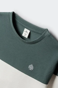 Springfield Kids Camiseta manga larga b&aacute;sica ni&ntilde;o^Niños Camisetas