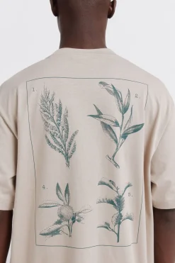 Springfield Camiseta natural^Hombre Camisetas