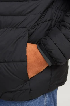 Jack & Jones PLUS Cazadora acolchada ligera PLUS^Hombre Cazadoras
