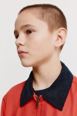 Springfield Kids Cazadora para ni&ntilde;o.^Niños Abrigos Y Chaquetas