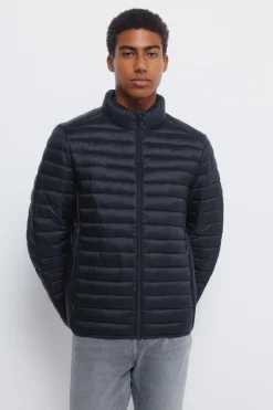 Springfield Chaqueta acolchada^Hombre Cazadoras