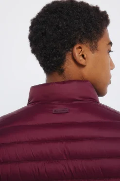 Springfield Chaqueta acolchada^Hombre Cazadoras