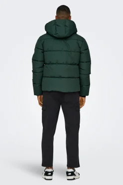 Only & Sons Chaqueta acolchada con capucha^Hombre Cazadoras