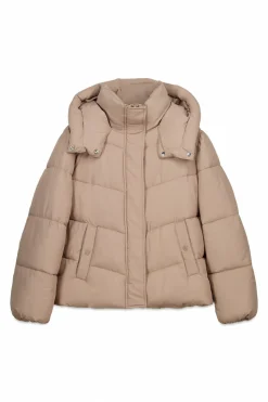 Springfield Chaqueta acolchada con capucha^Mujer Chaquetas