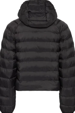 CK Jeans Chaqueta acolchada ligera con capucha^Mujer Chaquetas