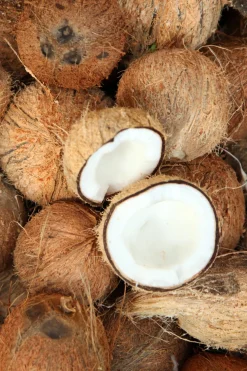 The Body Shop Gel de Ducha Cremoso de Coco 250 ml^Mujer Cosmética