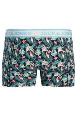 Jack & Jones Pack 3 B&oacute;xer combinado extampado^Hombre Calzoncillos