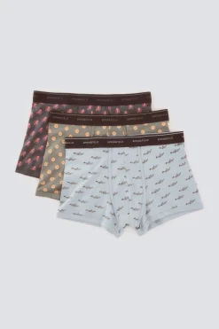 Springfield Pack 3 boxers animales marinos^Hombre Calzoncillos