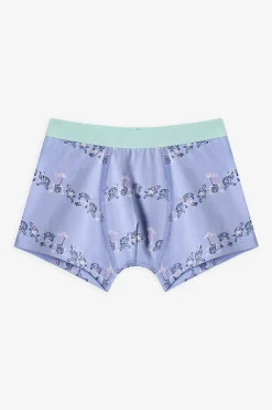 Penti Pack 3 boxers dino rayas^Niños Ropa Interior