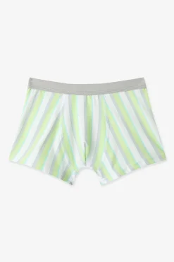 Penti Pack 3 boxers dino rayas^Niños Ropa Interior