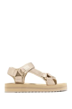 D.Franklin Sandalia Forest Hihg Strips^Mujer Sandalias