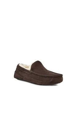 Ugg Slipper cerrada suede Ascot. Marca^Hombre Zapatillas De Casa