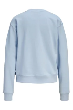 Jack & Jones Sudadera b&aacute;sica regular fit^Mujer Sudaderas