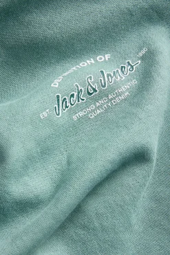 Jack & Jones Junior Sudadera con capucha^Niños Sudaderas