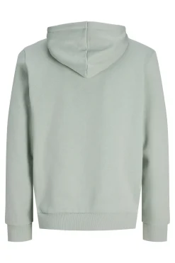 JJ REBEL Sudadera con capucha b&aacute;sica^Hombre Sudaderas