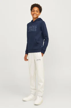 Jack & Jones Junior Sudadera con capucha logo^Niños Sudaderas