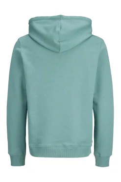 Jack & Jones Sudadera con capucha regular^Hombre Sudaderas