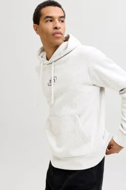 Jack & Jones Sudadera con capucha regular fit^Hombre Sudaderas