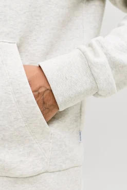 Jack & Jones Sudadera con capucha regular fit^Hombre Sudaderas