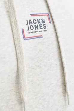 Jack & Jones Sudadera con capucha regular fit^Hombre Sudaderas