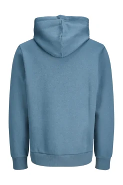 Jack & Jones Sudadera con capucha regular fit^Hombre Sudaderas