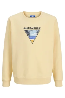 Jack & Jones Junior Sudadera cuello redondo^Niños Sudaderas