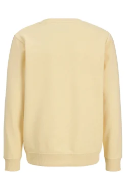 Jack & Jones Junior Sudadera cuello redondo^Niños Sudaderas