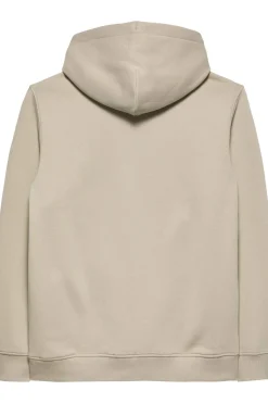 Tommy Jeans Sudadera de corte regular^Hombre Sudaderas