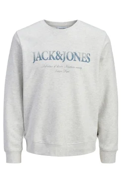 Jack & Jones Junior Sudadera logo^Niños Sudaderas
