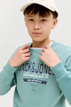 Jack & Jones Junior Sudadera logo grande^Niños Sudaderas