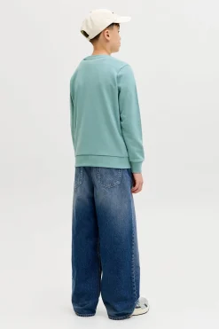 Jack & Jones Junior Sudadera logo grande^Niños Sudaderas