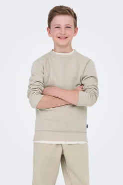 Only & Sons Junior Sudadera ni&ntilde;o^Niños Sudaderas