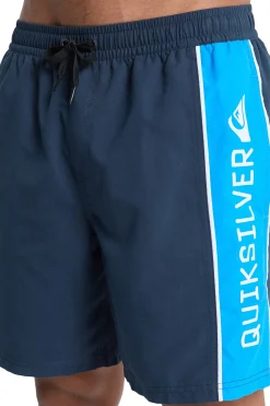 Quiksilver Traje de ba&ntilde;o logo^Hombre Baño