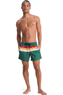 Quiksilver Traje de ba&ntilde;o logo^Hombre Baño