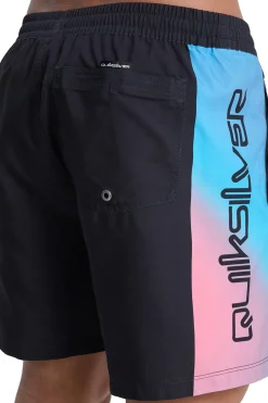 Quiksilver Traje de ba&ntilde;o logo^Hombre Baño