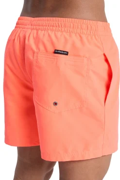 Quiksilver Traje de ba&ntilde;o logo^Hombre Baño