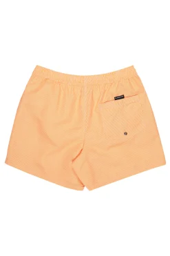 Quiksilver Traje de ba&ntilde;o logo^Hombre Baño